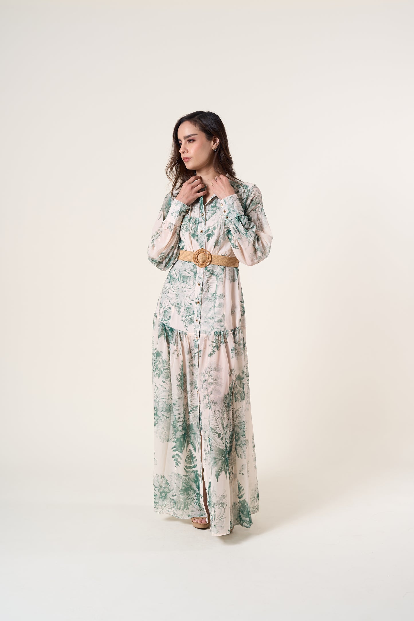 Alba Long Sleeve Print Dress
