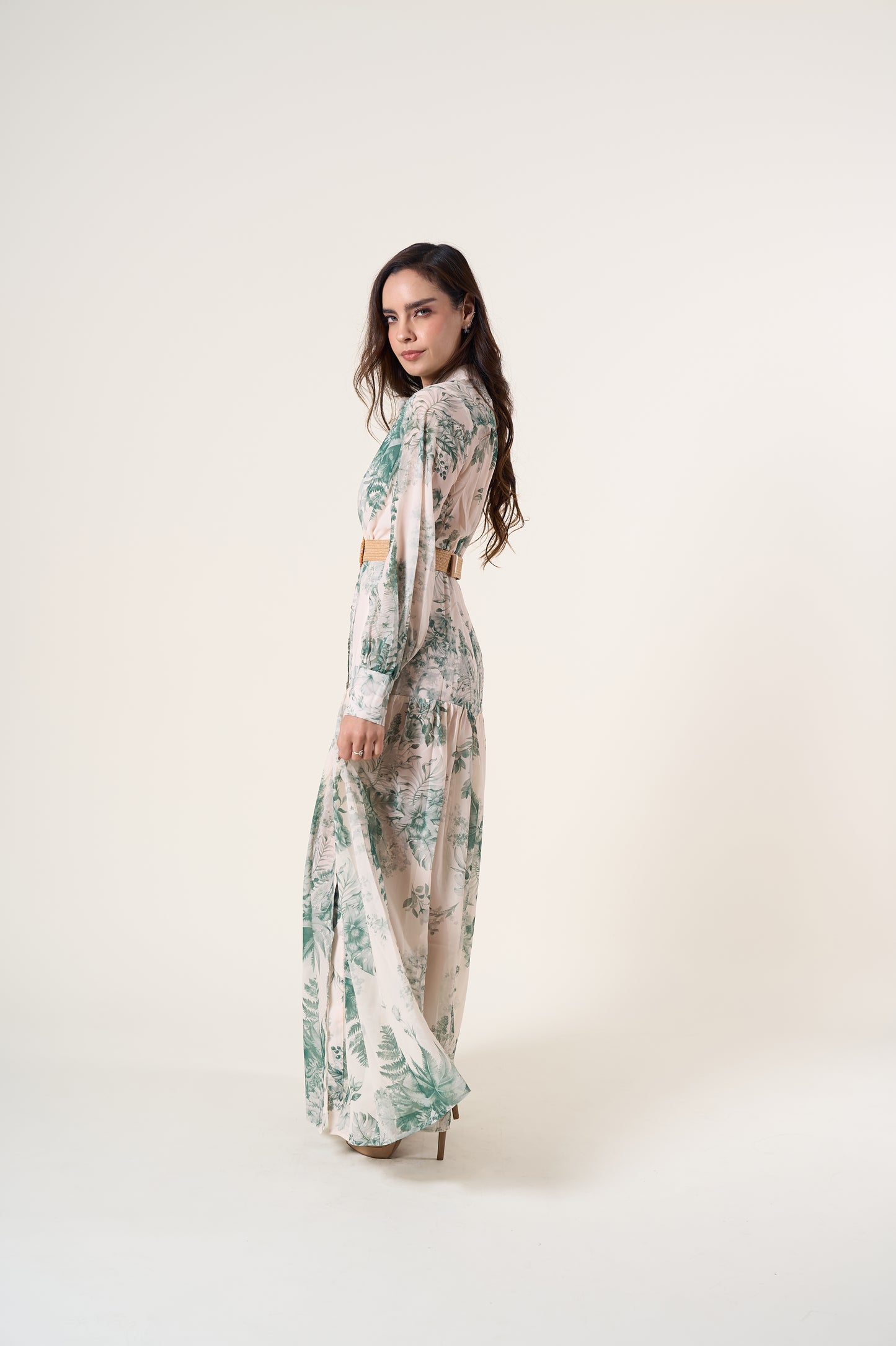 Alba Long Sleeve Print Dress