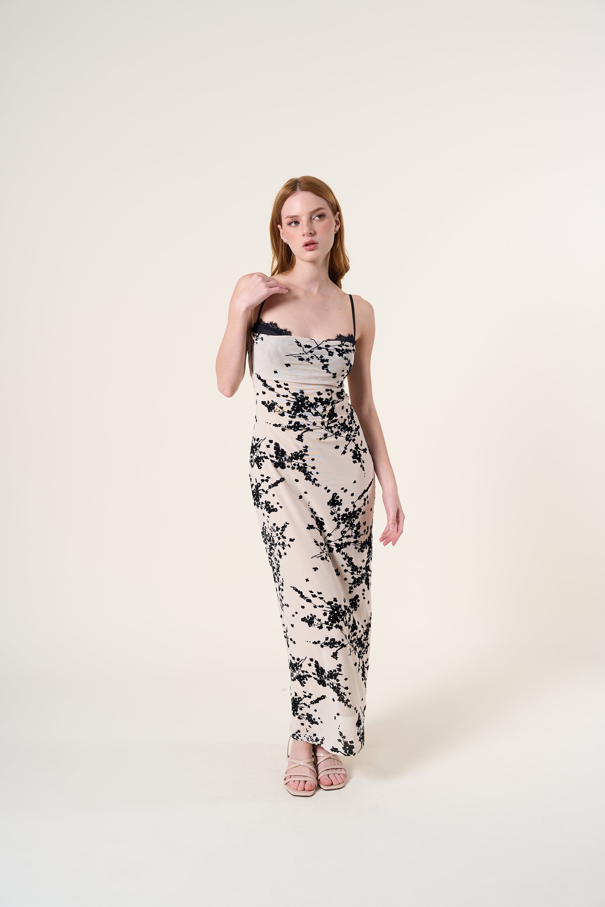 talia lace dress Miss Circle Women Talia Black Satin Lace Corset Maxi Dress